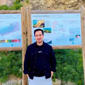 babysitter looking for a job,help in house 