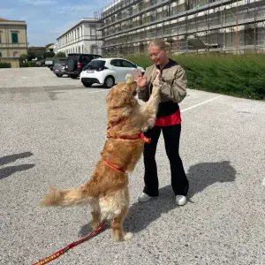 Giovane babysitter a Montespertoli
