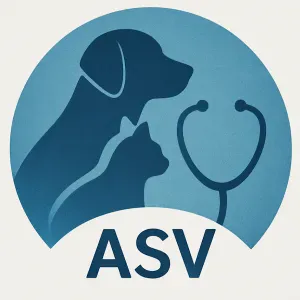 Pet-Sitter à Six-Fours-Les-Plages et ses alentours