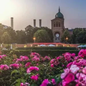 Looking for housekeeper Berlin