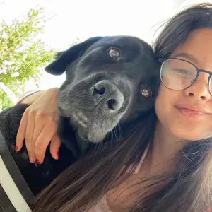 Pet sitter em Portimão - disponibilidade imediata 