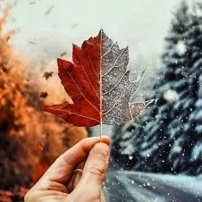 Cercasi aiuto per pulizie