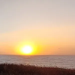 Titre : Garde d'enfants (6 et  11 ans)