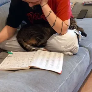 Femme de ménage. Quelque peu maniaque.