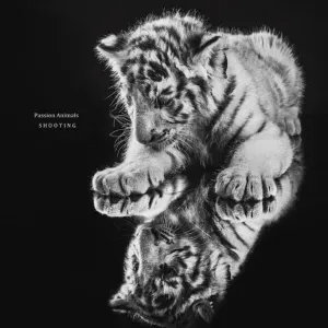 Baby-sitter de 23ans de confiance 