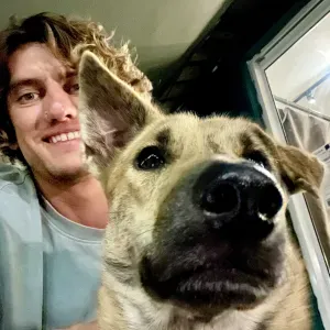 Pet-Sitter sur Villecroze et ses alentours