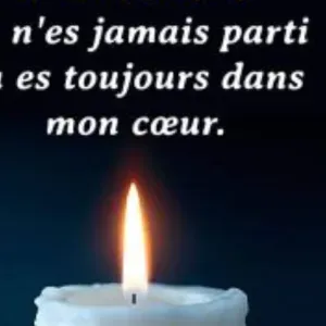 Je cherche une nounou