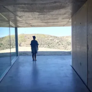 À procura de cuidador para cão