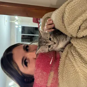 Recherche Petsitter pour Heïa 