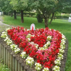 Agent de nettoyage nettoyage cousine 