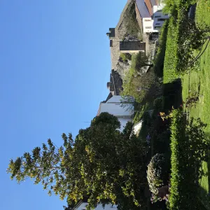 Empregada limpezas domésticas em Castelo Branco 