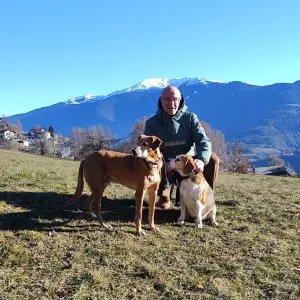 Pet sitting a Valsamoggia (Bo)