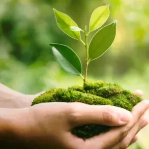 Aide à domicile pour vous où vos proches 