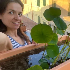 Cerco servizio di pulizia