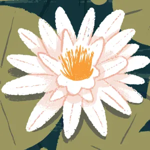 Pet-Sitter à Bordeaux disponible !