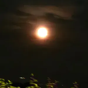 Lavoro domestico / assistenza anziani/ babysitter 