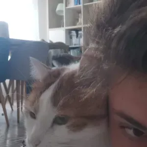 Cours de Mathématiques