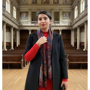 Professional baby sitter in Luton