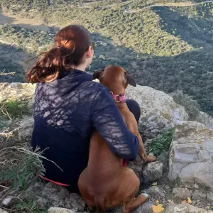 Pet sitter à Montpellier et alentour