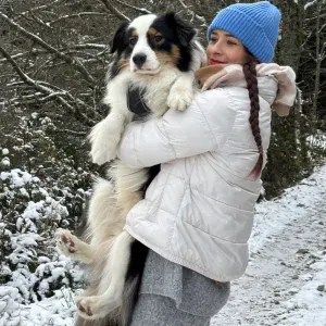 Un cocon pour votre compagnon 