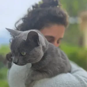 Recherche Petsitter pour Lulu, chat handicapé 