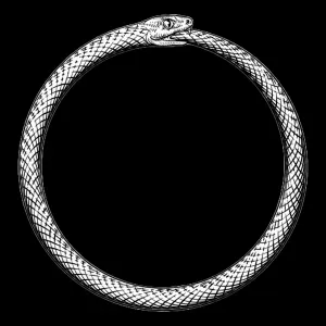 Pulizia e stiro occasionale