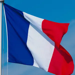 Couple Sérieux pour Nettoyage à Domicile