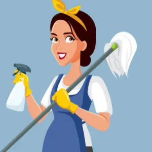femme de menage professionnelle a lyon 
