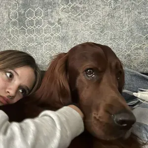 Petsitter