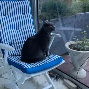 Offre d'emploi pour un(e) femme de ménage àCabourg