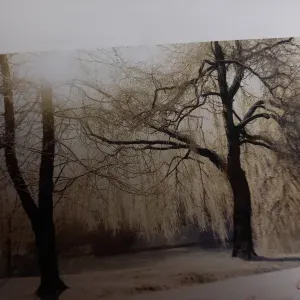 Dona di pulizie Adetta pulizie 