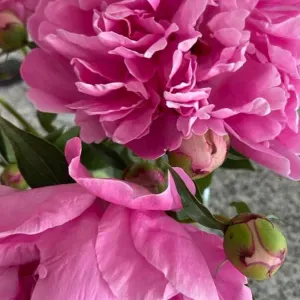 Nounou a mon domicile a aumetz