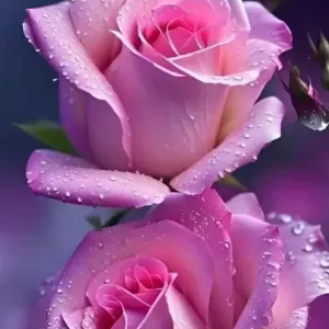 Nounou garde enfant presque 8 ans