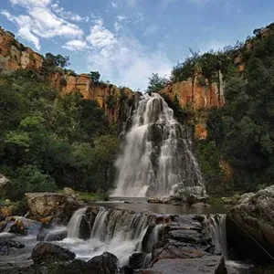 Auxiliaire de Vie / Aide à domicile - Hérault 
