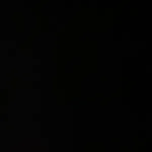 Pet sitting a Caserta e provincia 