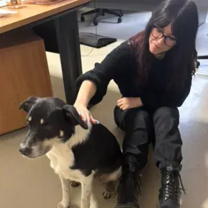 Pet-sitter à Lyon - amoureuse des animauc