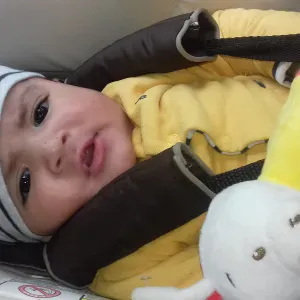 assisstante de vie aux familles