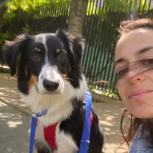 Promeneuse de chiens à Paris le week-ends et jours fériés.