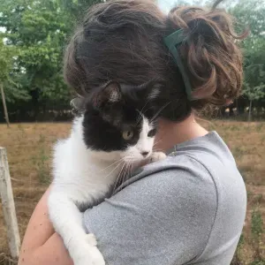 Pet-Sitter-Troarn et les alentours