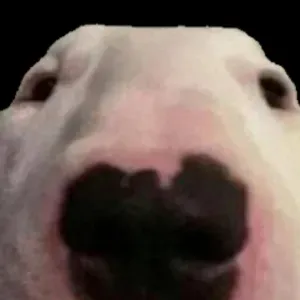 Poste pour un(e) aide ménagère à Blanquefort