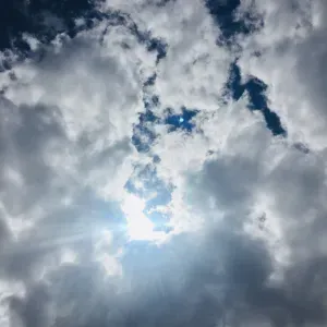 Personne pour trajets scolaires le matin