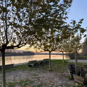 Pet-Sitter aux alentours de Bordeaux