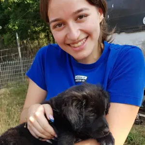 Pet-sitter motivée à Toulouse – garde et promenades