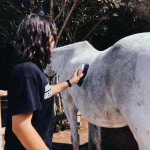 Pet-Sitter a saint christol les ales 