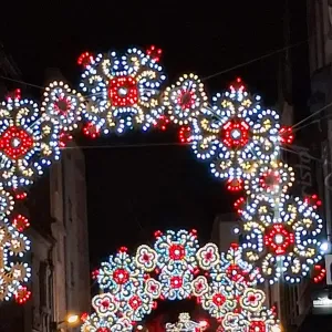 Aide ménagère à domicile expérimenté 