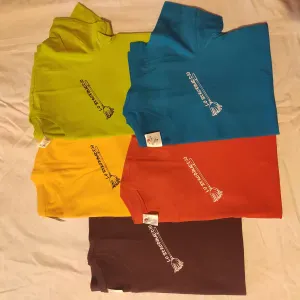 Titolare di un'impresa di pulizie a Busto Arsizio 