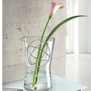 Aide Ménagère confirmée sur Castelnau d'Estrètefonds 