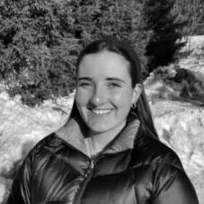 Garde/ promenade de chien/chat