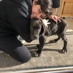 Pet-Sitter à Avignon et ses alentours (Gard) 