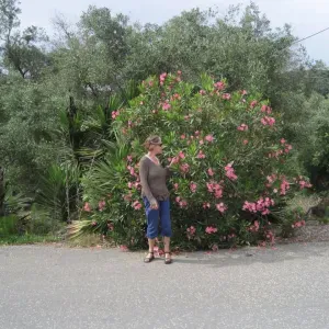 I'm looking for a petsitter near me